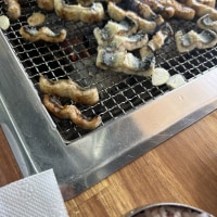 실시간옵붕이점심...