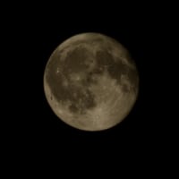 방금 찍은 달 하나