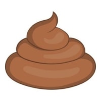 뿌지지직뿌직