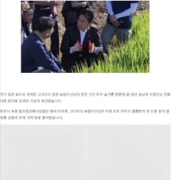 을사년에 한반도에 찾아와 산미계획을 강구하는 일본인