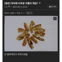 니들은 피자 끝부분 뭐라부르냐?