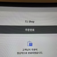 아티 인형 샀다