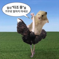 26살 나이먹고 하는 친구들 대화