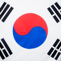 옵지에도 태극기 걸어야지