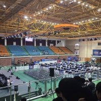 경기장 신기하다