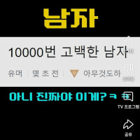 제 눈이 이상한걸까요?