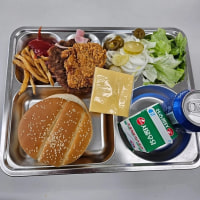 요즘 군대리아 근황 ㄷㄷ