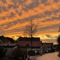 2년 전에 독일에서 찍은 사진