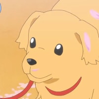 사실 존나 대단한 프리큐어 경쟁률