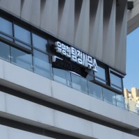 본인 코난 세계관에 살고있음