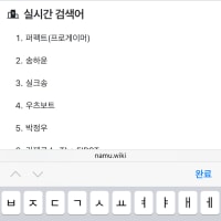 퍼펙트 아직도 나무위키 실검 1위네