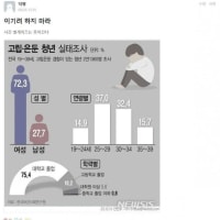 뭔가 이상한 고립 은둔 청년 실태 비율