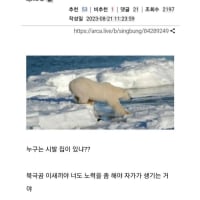 북극곰의 집이 사라집니다 이말 이상함