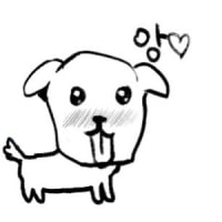 님드라 나 심심해