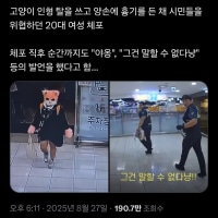 코리안 퍼리 GTA