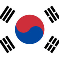 엔비디아 시가총액 체감