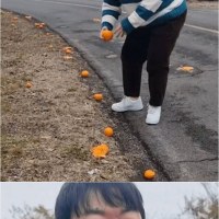 제주도민이 귤을 사먹는다는 의미.jpg