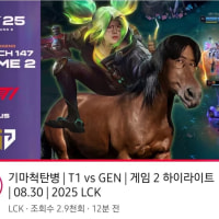 LCK는 고소장받으면 올게 왔구나 생각해라