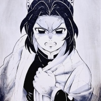 내 언니를 죽인건 네놈이잖아 이 하오리 본적 없어?