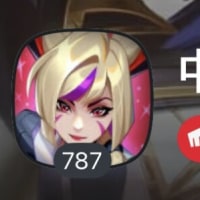 옵붕이들아 얼른 내 롤 레벨 추월해라