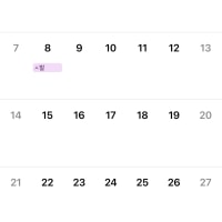 시이발 이제 진짜 일주일이네