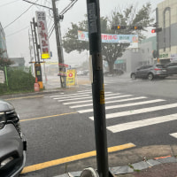 싱글벙글 완주 상황