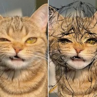 퍼리충 시점은 이런건가?