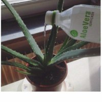 사이코패스 테스트 40점 만점에 35점 나왔다