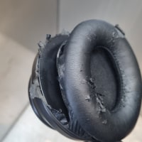 아 털바퀴 시발