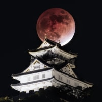 어제 일본에서 찍힌 월식 사진