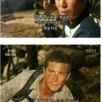 정글러들 유형에 따른 장단점 추이