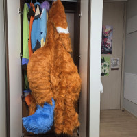 옷장 문 닫히지도않네