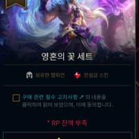 영꽃세트를 살까말까(나만의 상점)