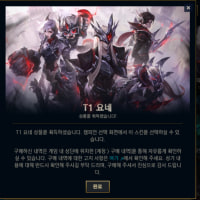 고민하다 질렀다