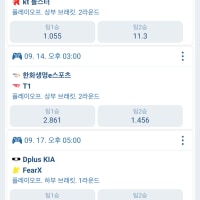 플레이오프 배당률