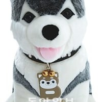 이 강아지 아는사람 ㅋㅋㅋ