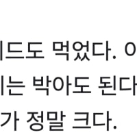 나무위키 뭐냐 ㅋㅋ