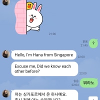 이거 내가 한국이미지 추락시킨거냐?