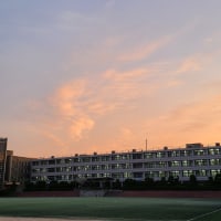 작년 평택 하늘에 나타난 T1 로고