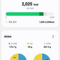 내 꿈은 말파이트