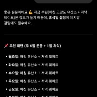 채찍비티가 운동 루틴짜줬다