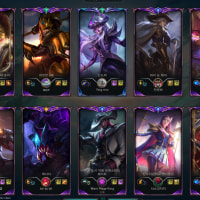 아쒸 귤쟁이만났네