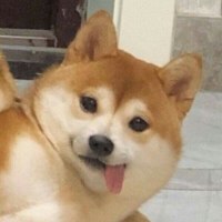 오늘애 저녁빱은요