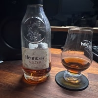 응애 술린이 첫 코냑 리뷰 (헤네시 VSOP)