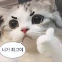 우리 옵부이가 짱이야