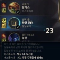 대회픽이 솔랭에 미치는 영향