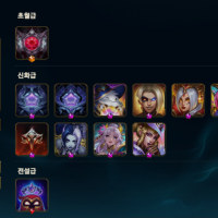 롤 아이콘 몇개 있음?