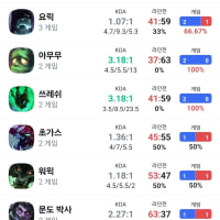 내 2025솔랭 전적