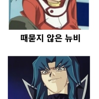 유희왕 듀얼리스트 유형