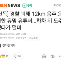 165만 유튜버 음주운전